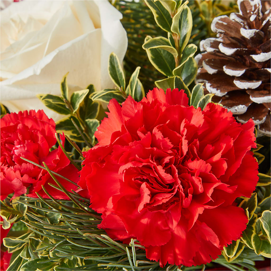 Christmas Market Bouquet – DOMINO'S BLOOMS, Granbury TX