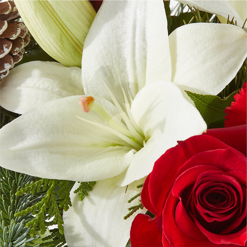 Oh So Jolly Bouquet – DOMINO'S BLOOMS, Granbury TX