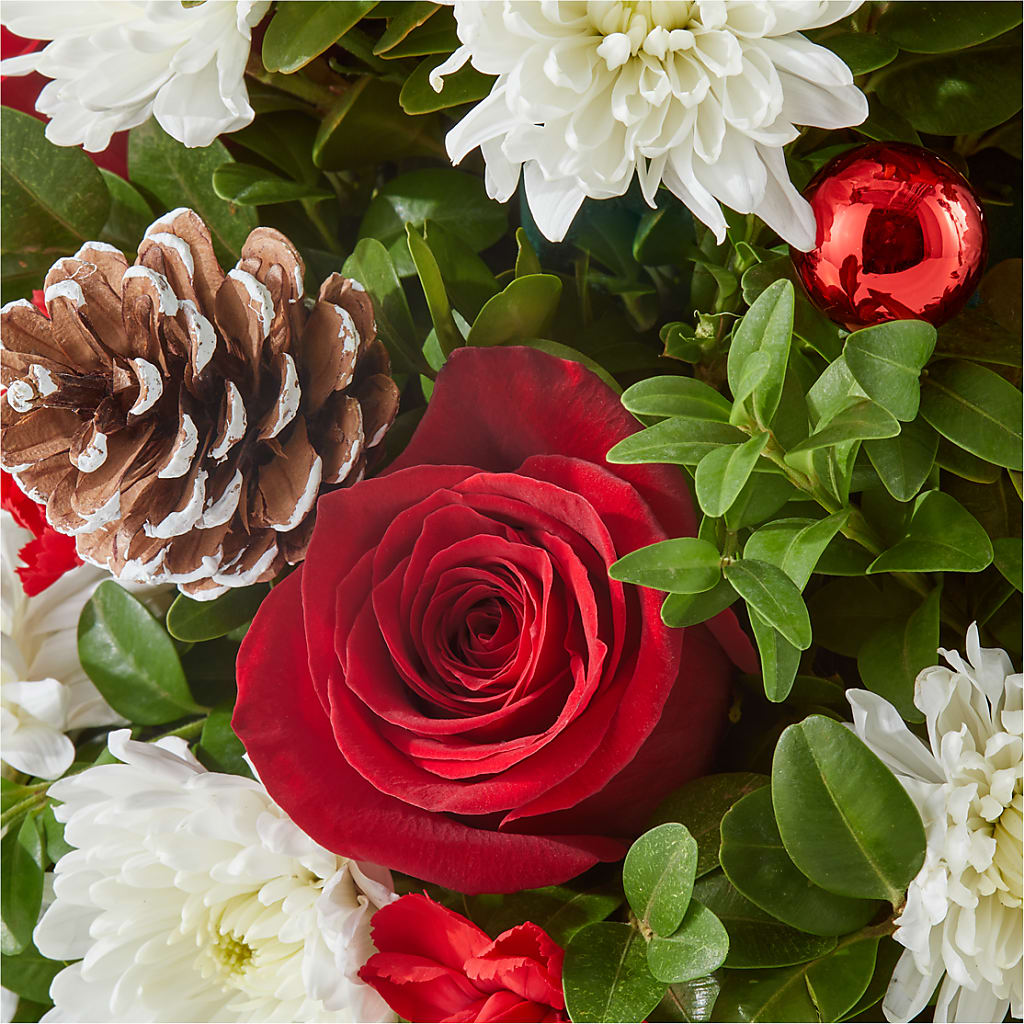 Let It Snow Tree – DOMINO'S BLOOMS, Granbury TX