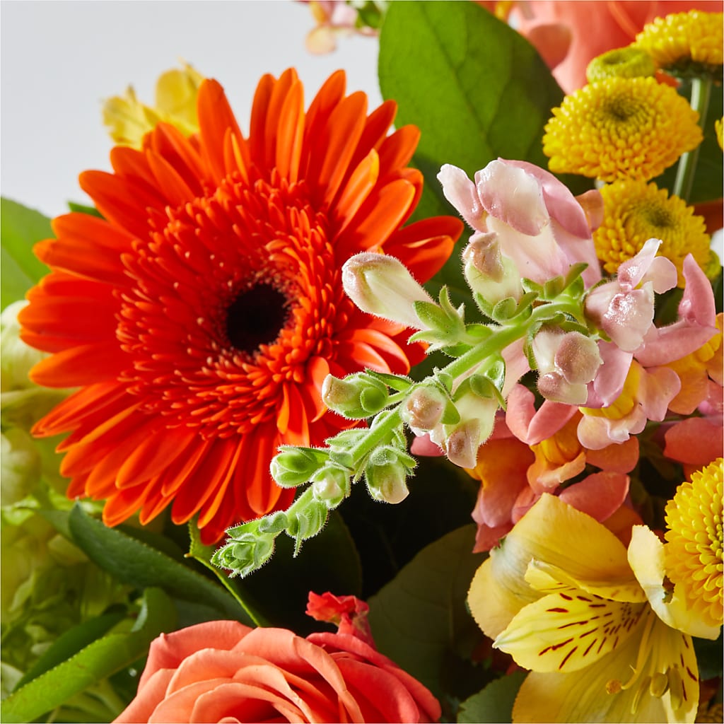 Autumn Sunshine Bouquet – DOMINO'S BLOOMS, Granbury TX