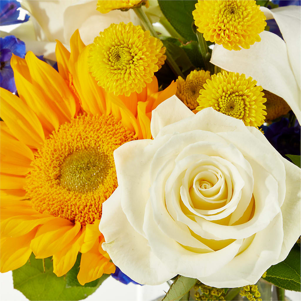Stargazing Bouquet – DOMINO'S BLOOMS, Granbury TX