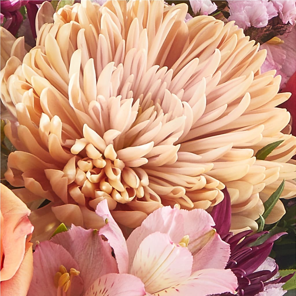 Berry Cobbler Bouquet – DOMINO'S BLOOMS, Granbury TX