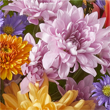 Countryside Bouquet – DOMINO'S BLOOMS, Granbury TX