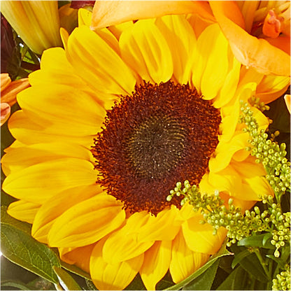 Seasons Change Bouquet – DOMINO'S BLOOMS, Granbury TX