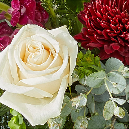 Cranberry Fizz Bouquet – DOMINO'S BLOOMS, Granbury TX