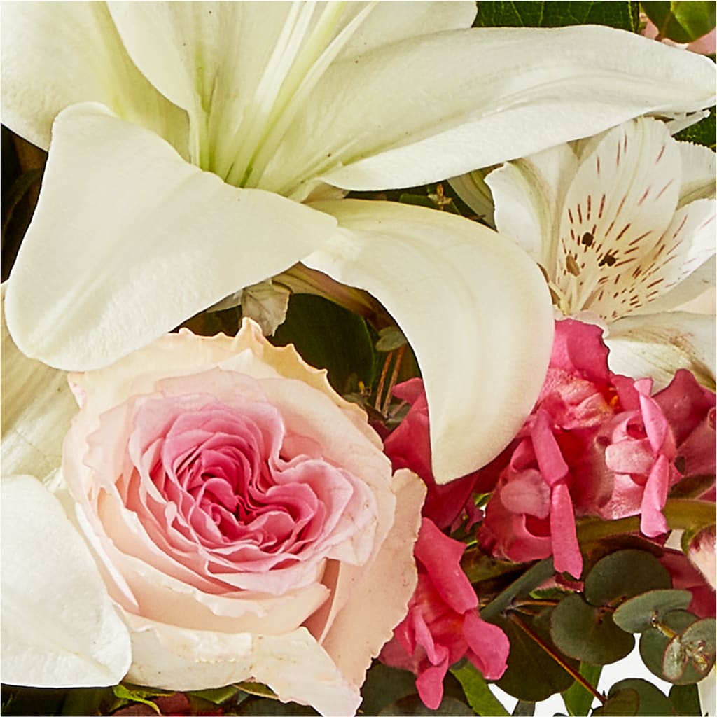 Ballet Slippers Bouquet – DOMINO'S BLOOMS, Granbury TX