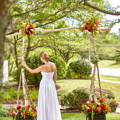 Arbor of Love Archway – DOMINO'S BLOOMS, Granbury TX
